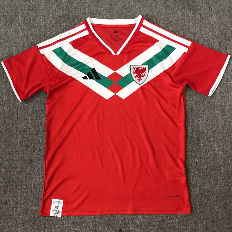 Selección de Gales Edición especial 26/27