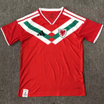 Selección de Gales Edición especial 26/27