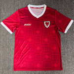 Selección de Gales 26/27