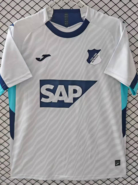 TSG Hoffenheim Tercera 2025/26