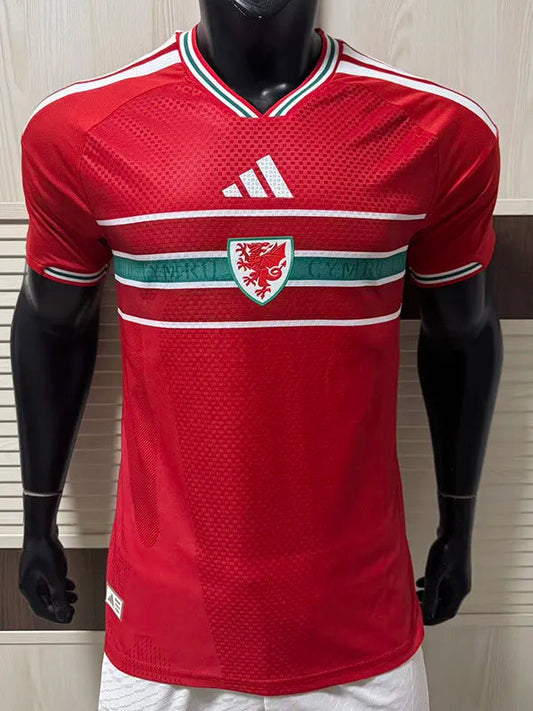 Selección de Gales Local Versión Jugador 2026/27