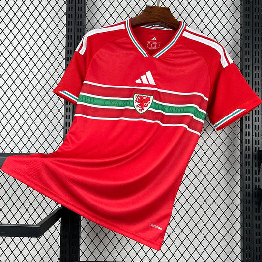 Selección de Gales Local 2026/27